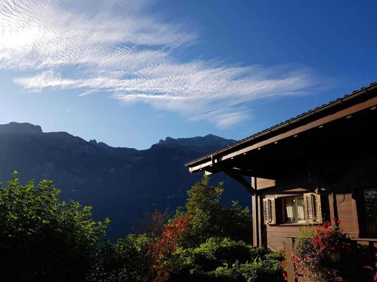 Ferienwohnung Selinda Niederried bei Interlaken Zewnętrze zdjęcie