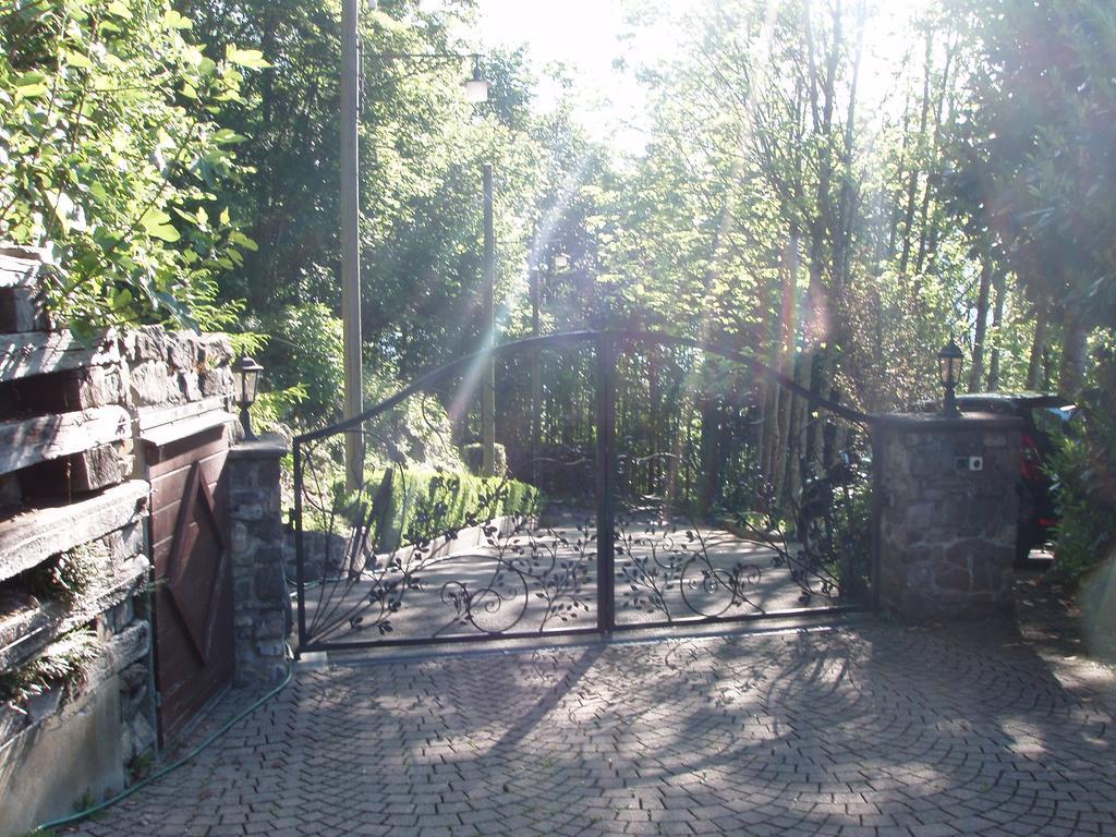 Ferienwohnung Selinda Niederried bei Interlaken Zewnętrze zdjęcie